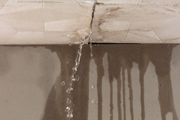 Professional Water Extraction technician working in Cedar Grove, FL